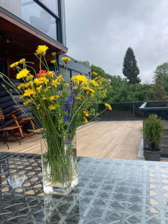 Delmare Lodge Ardesen