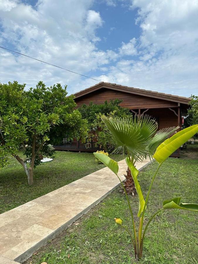 Vi̇llas Villa