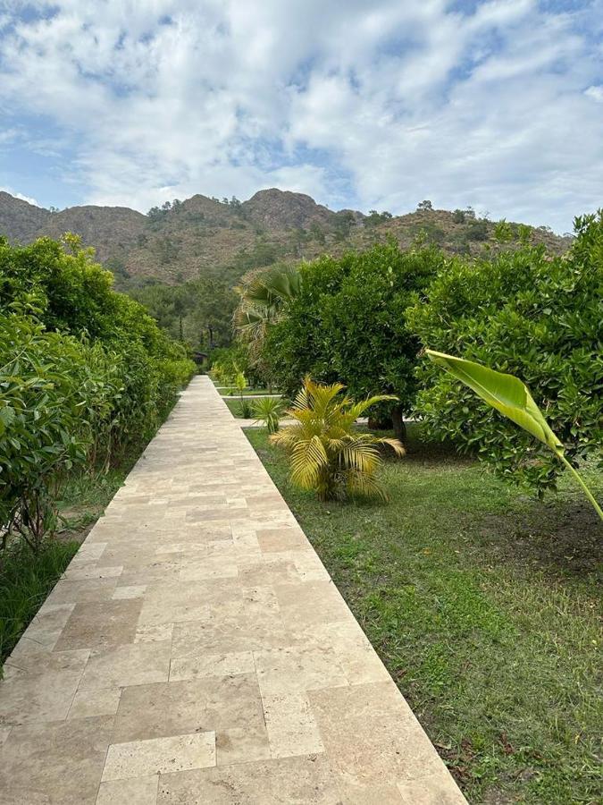 Villa Vi̇llas Cirali