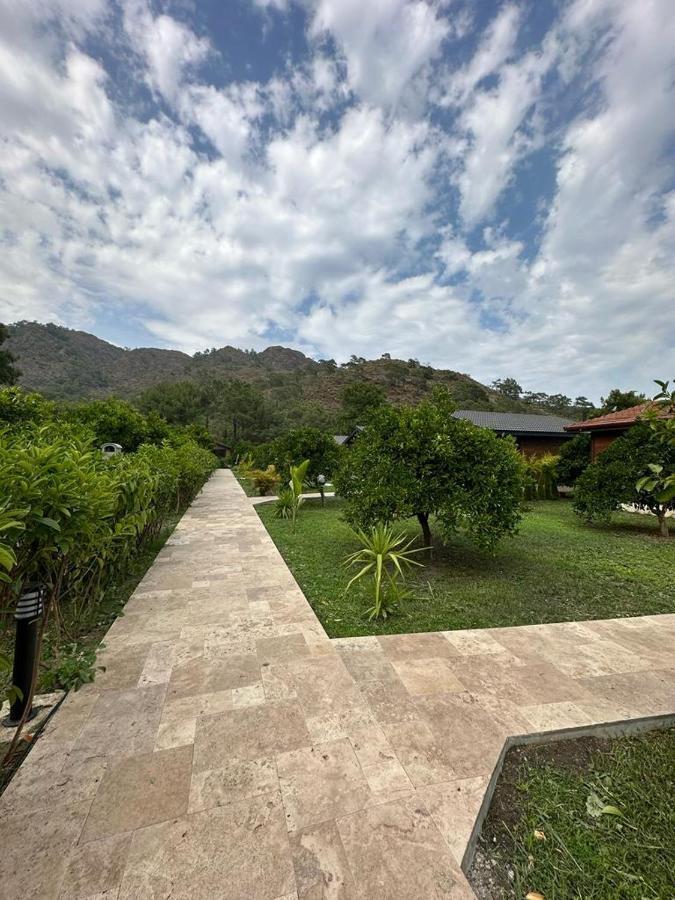 Villa Vi̇llas