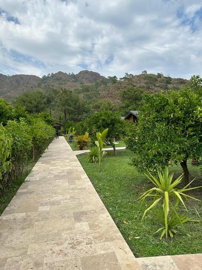 Villa Vi̇llas *