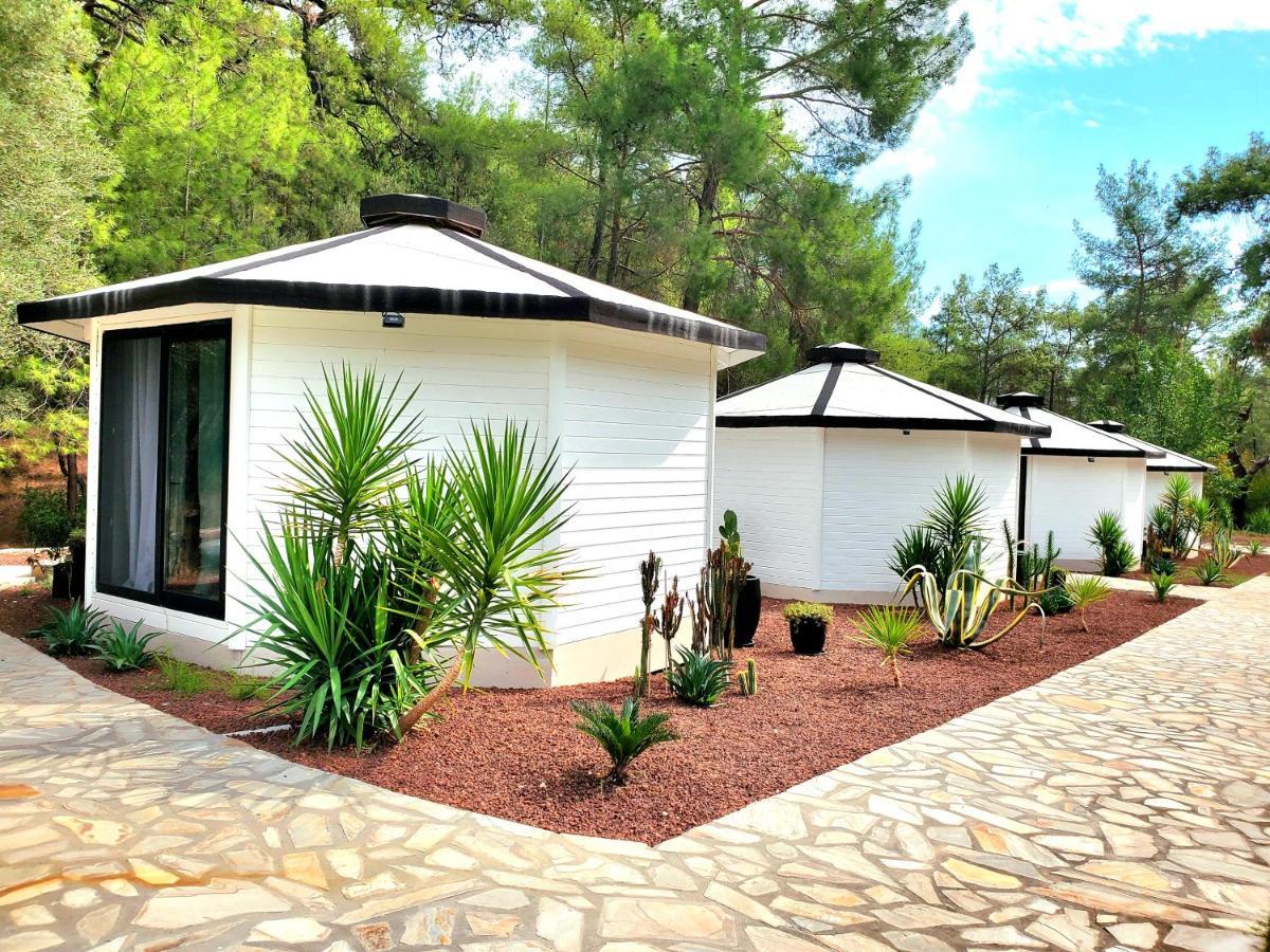 Holiday park Nomad Adults Only *
