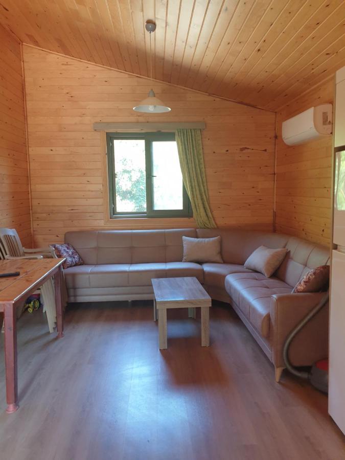 Vi̇llas Villa Cirali