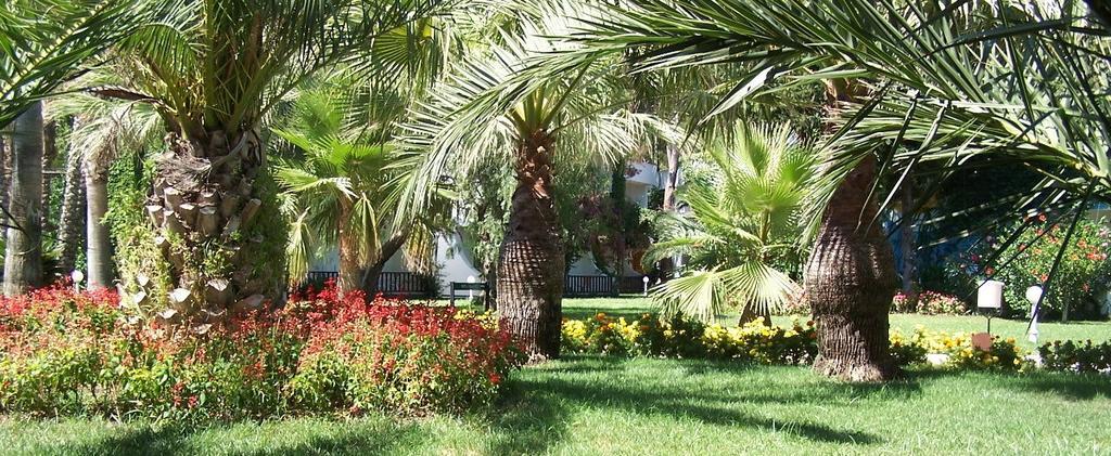 Club Boran Mare Resort 5*