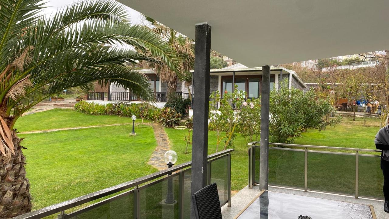 Palm * Sile