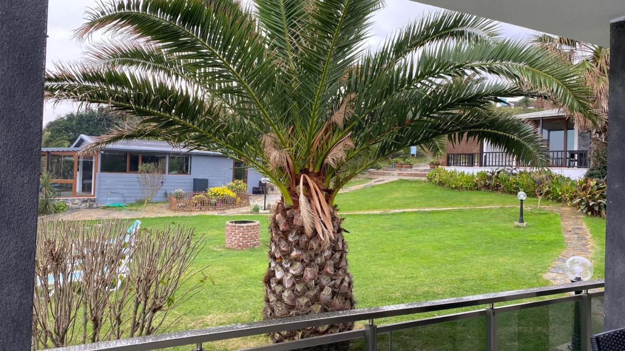 Palm *