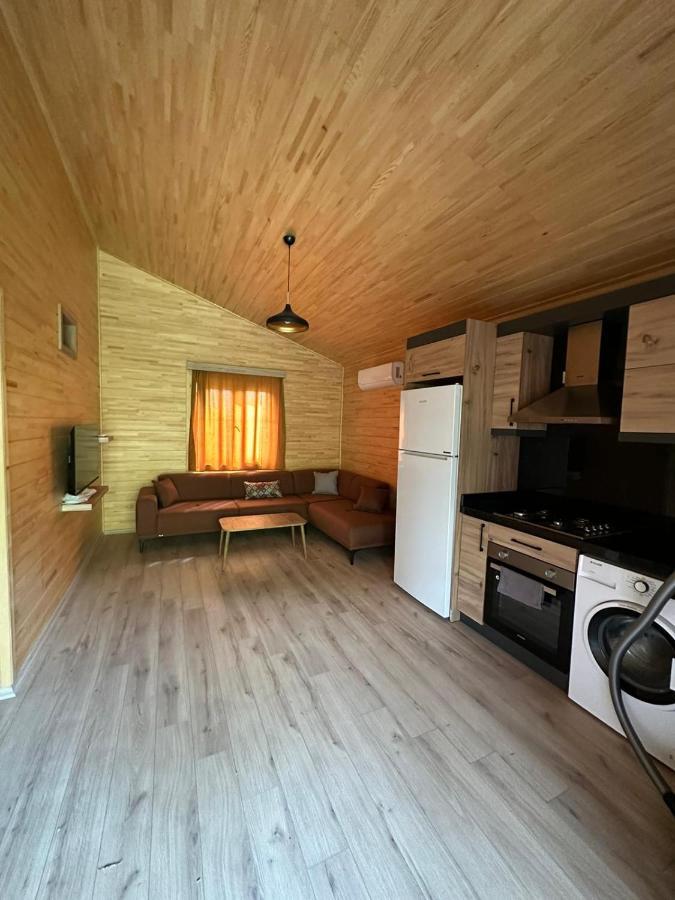 Vi̇llas Villa Cirali