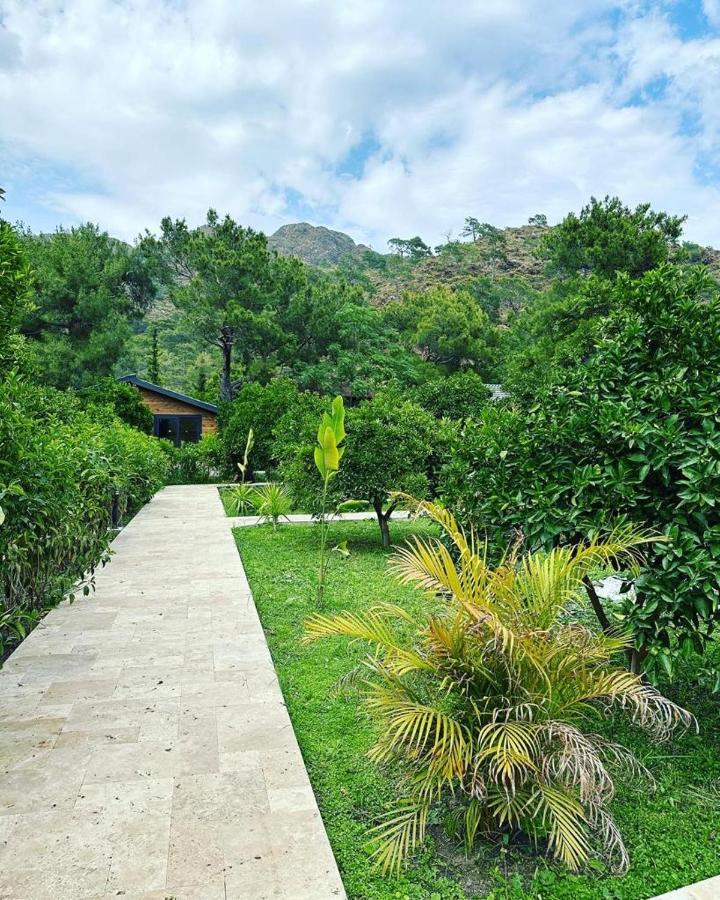 Vi̇llas Villa *