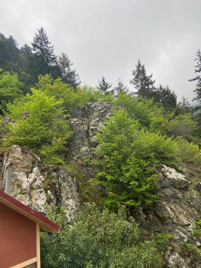 Hotel Soylu