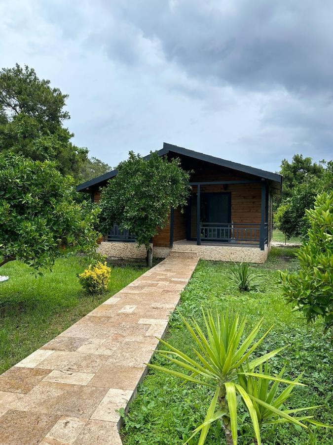 Villa Vi̇llas