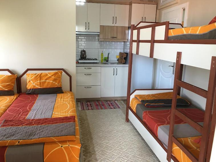 Saglik 2* Erdek