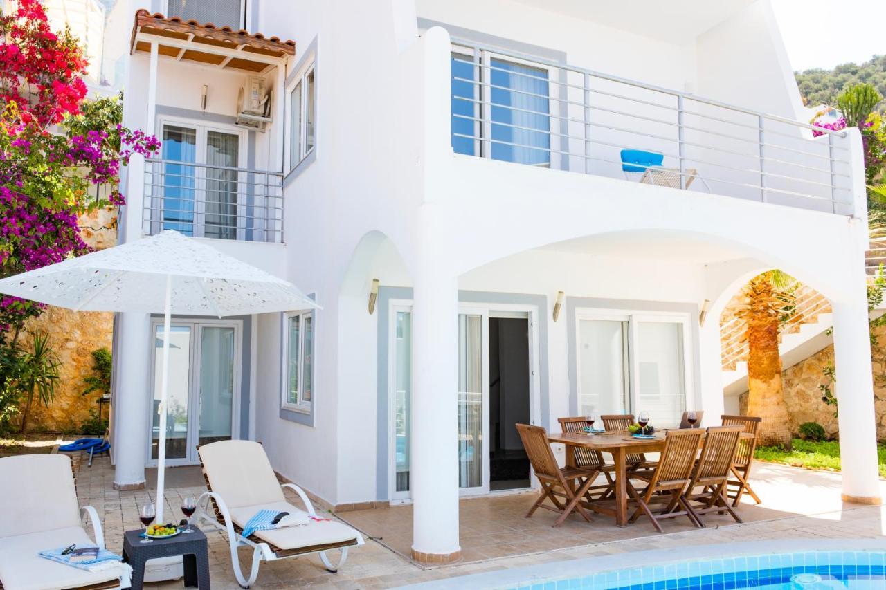 Villa Ayseguel *