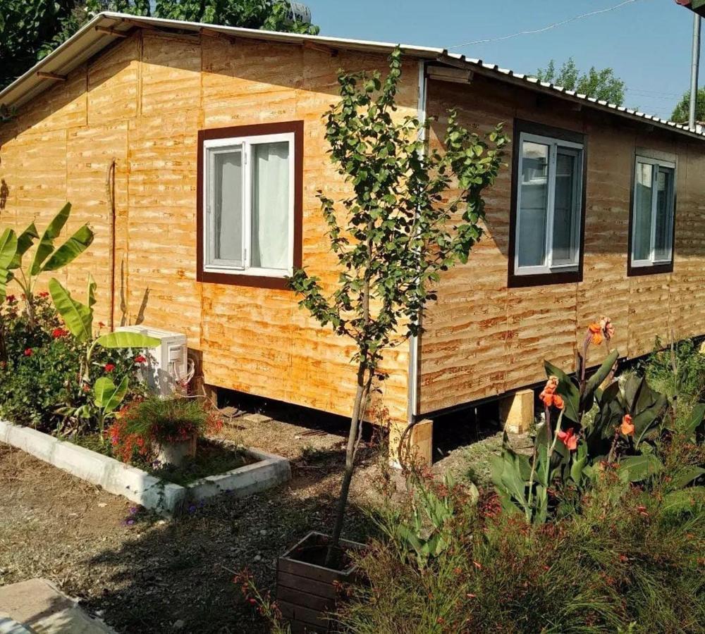 Kocakaya Bungalow Homestay *