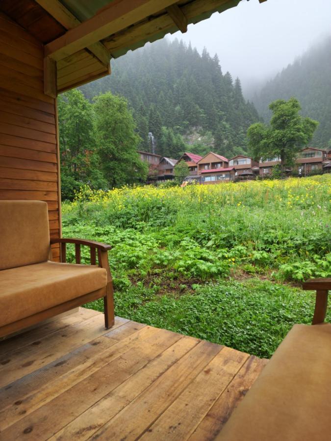 Ensar Uzungol