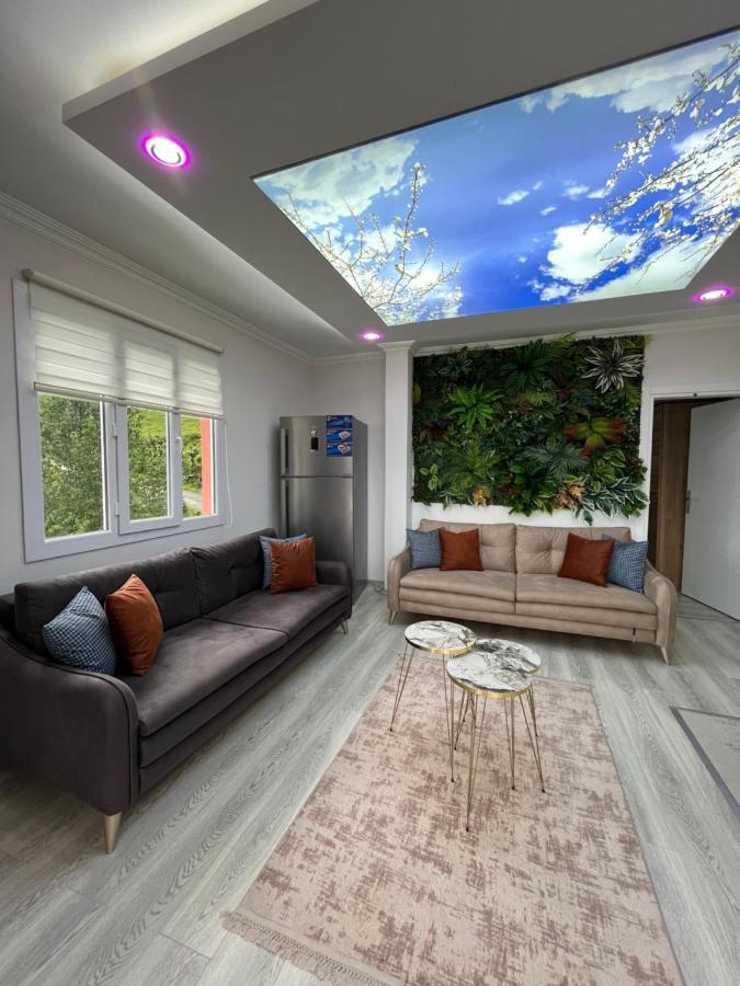 Apartment Dereli Delux Rize