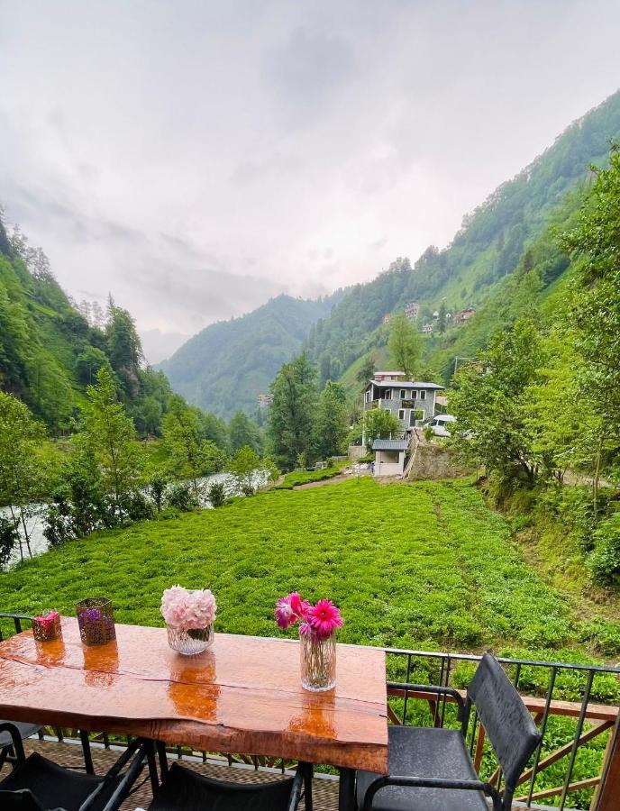 Resort Vagona Tiny House 3*