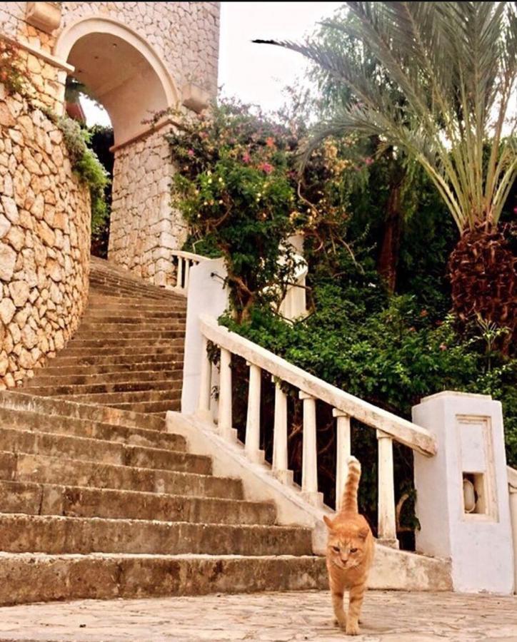 Kas, Kalkan, Club Patara Tatil Koeyuende Villa