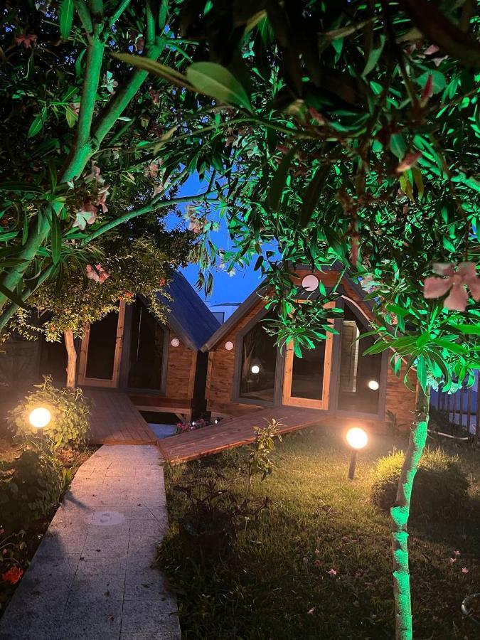 Bed & Breakfast Palma Rosa 3*