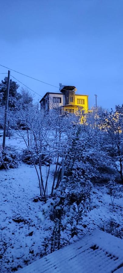 Nergis Dag Evi Chalet Trabzon