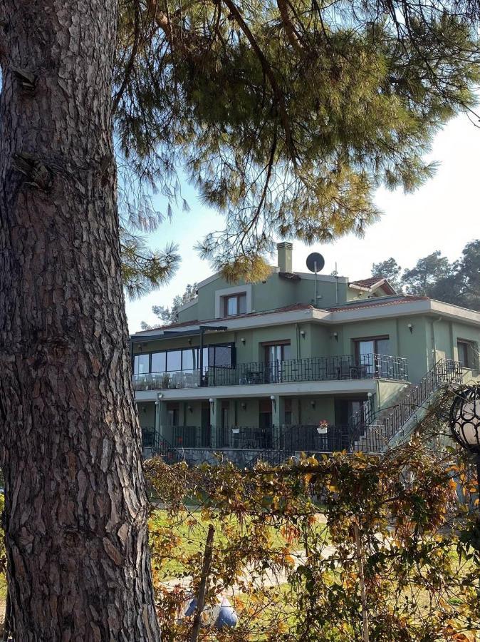 Bed & Breakfast Belizi