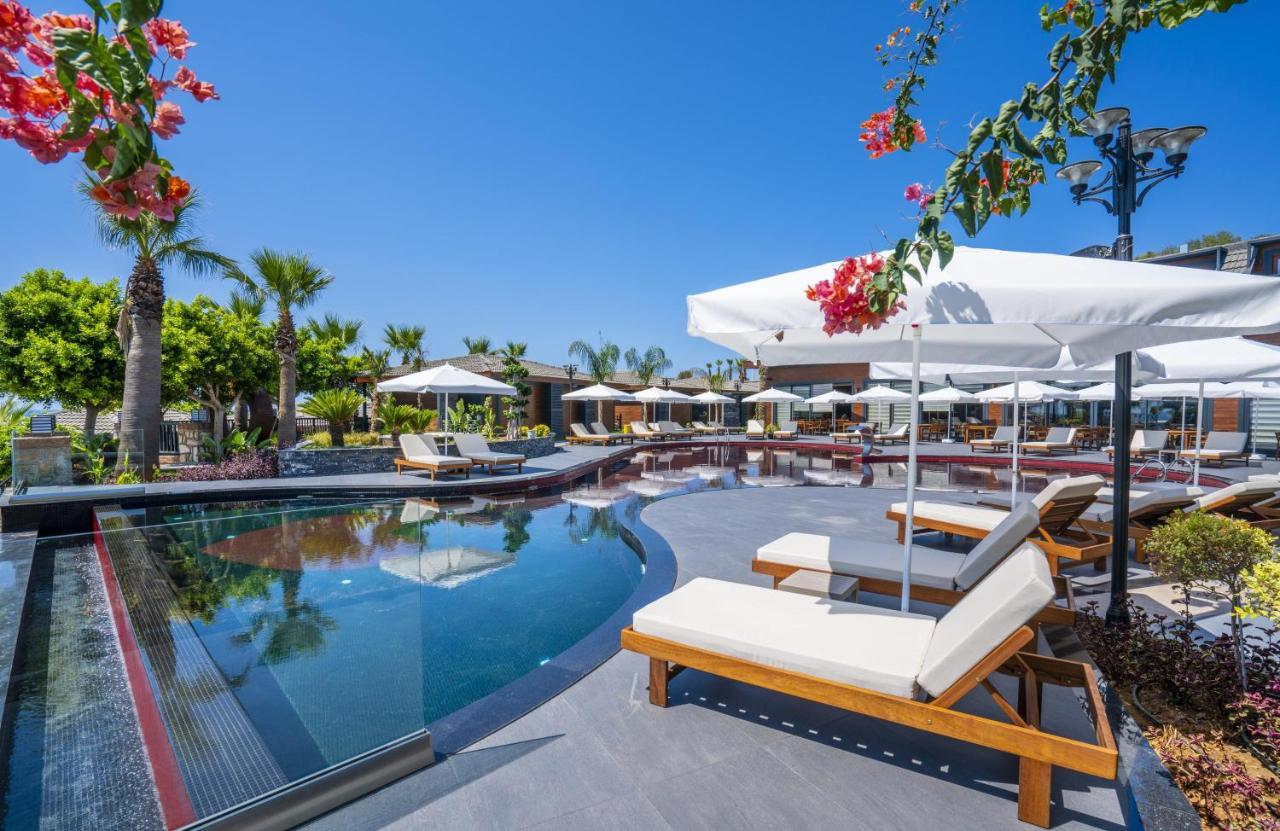 Porto Club (adults Only)