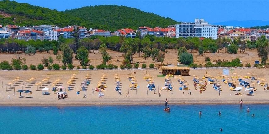 Ergin 2* Sarimsakli