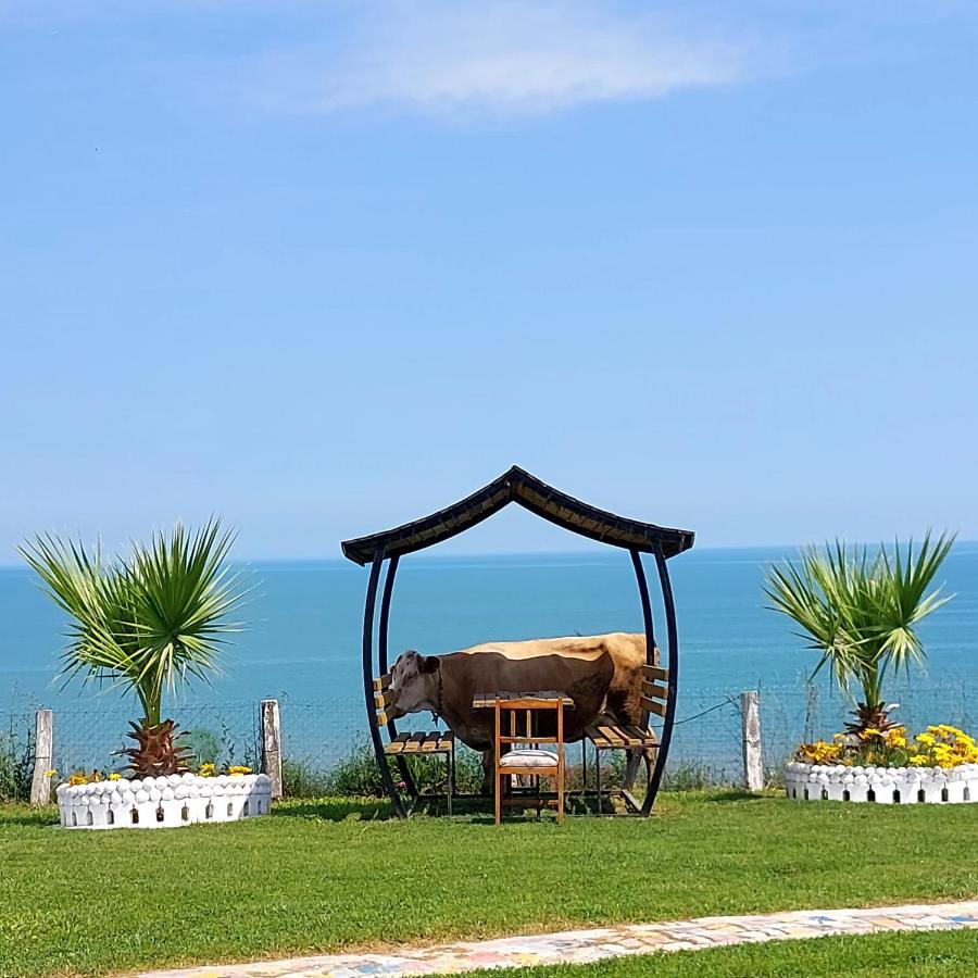 Apartment Perice Sinop