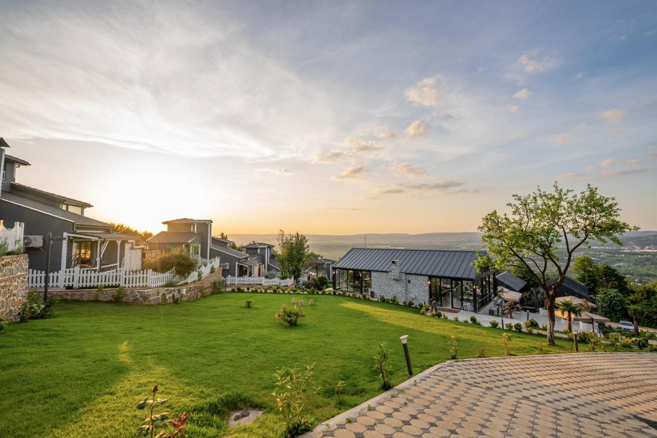 Alya Kartepe