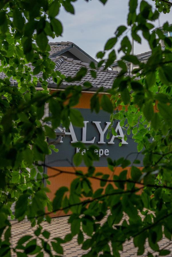 Hotel Alya Kartepe 5*