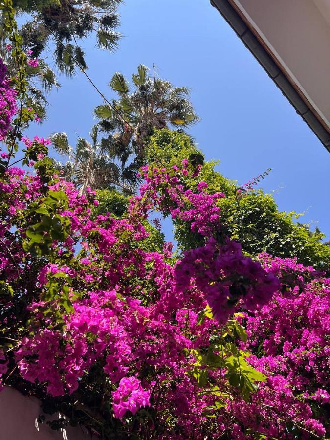 Bed & Breakfast Palma Rosa Kemer