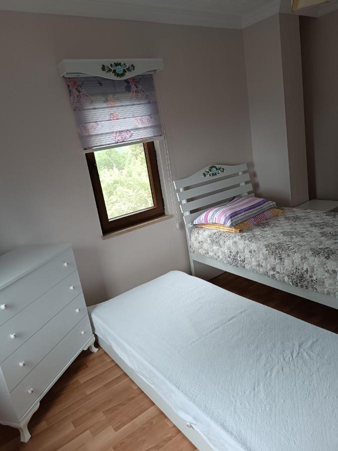 Chalet Nergis Dag Evi