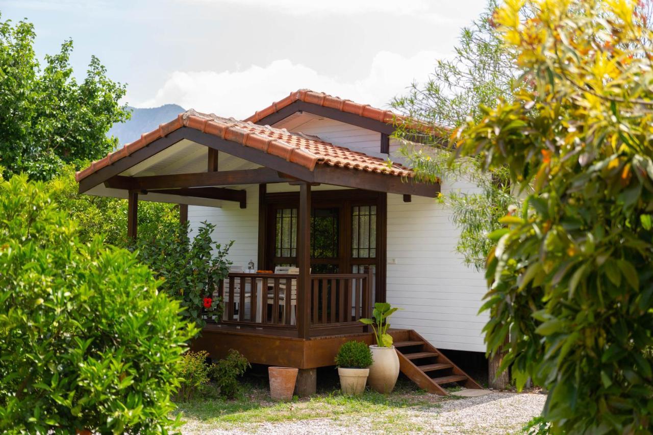 Holiday home Kimera - Akdeniz Bahcesi Cirali