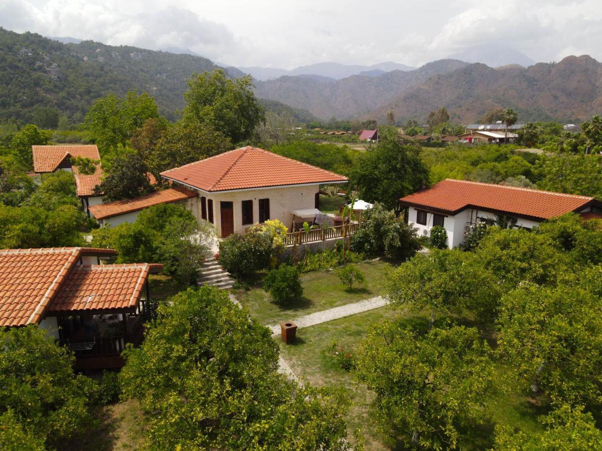 Kimera - Akdeniz Bahcesi * Cirali