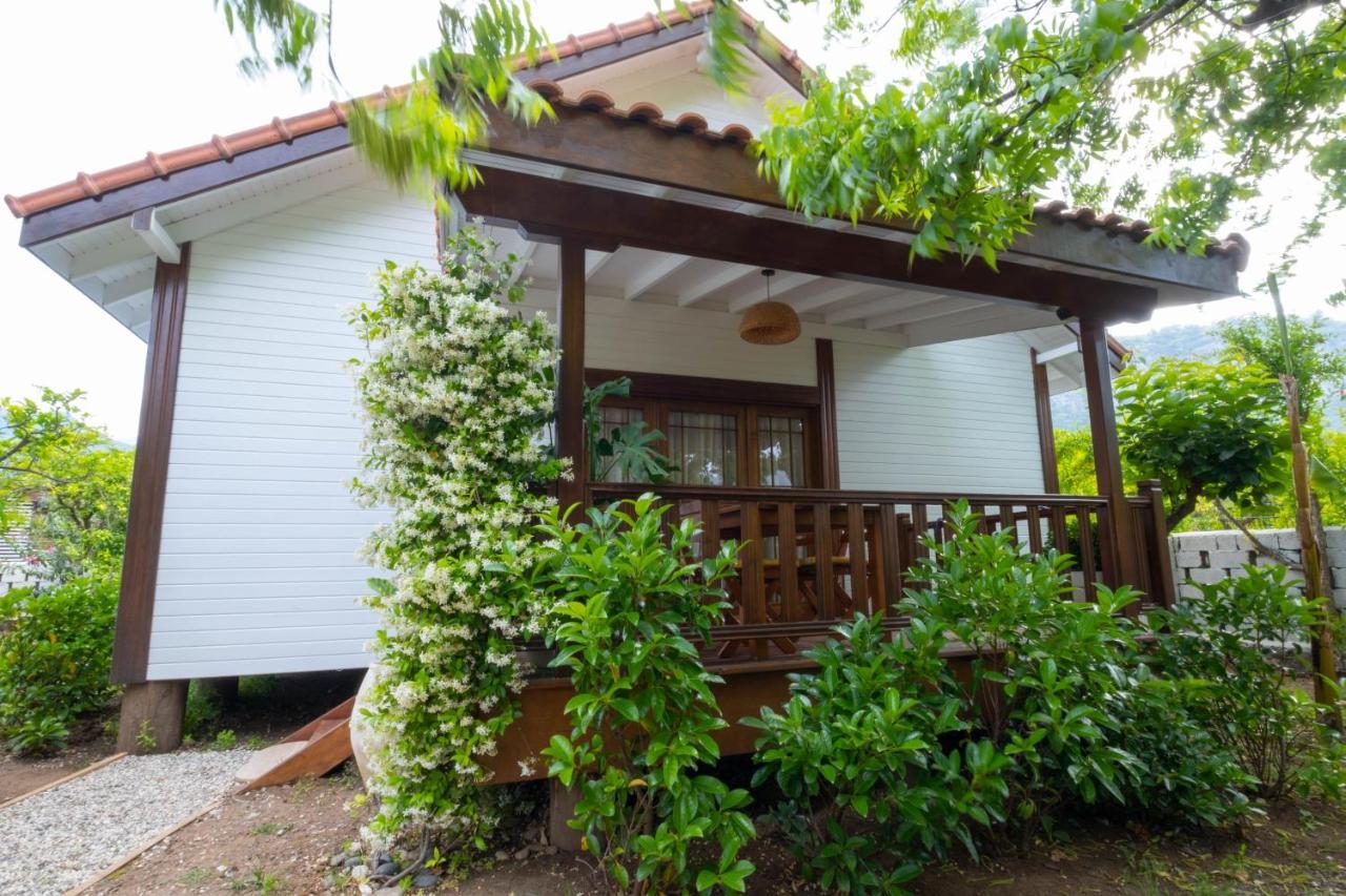 Kimera - Akdeniz Bahcesi Holiday home Cirali