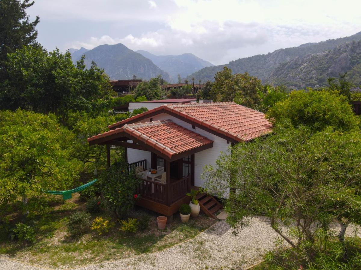 Holiday home Kimera - Akdeniz Bahcesi