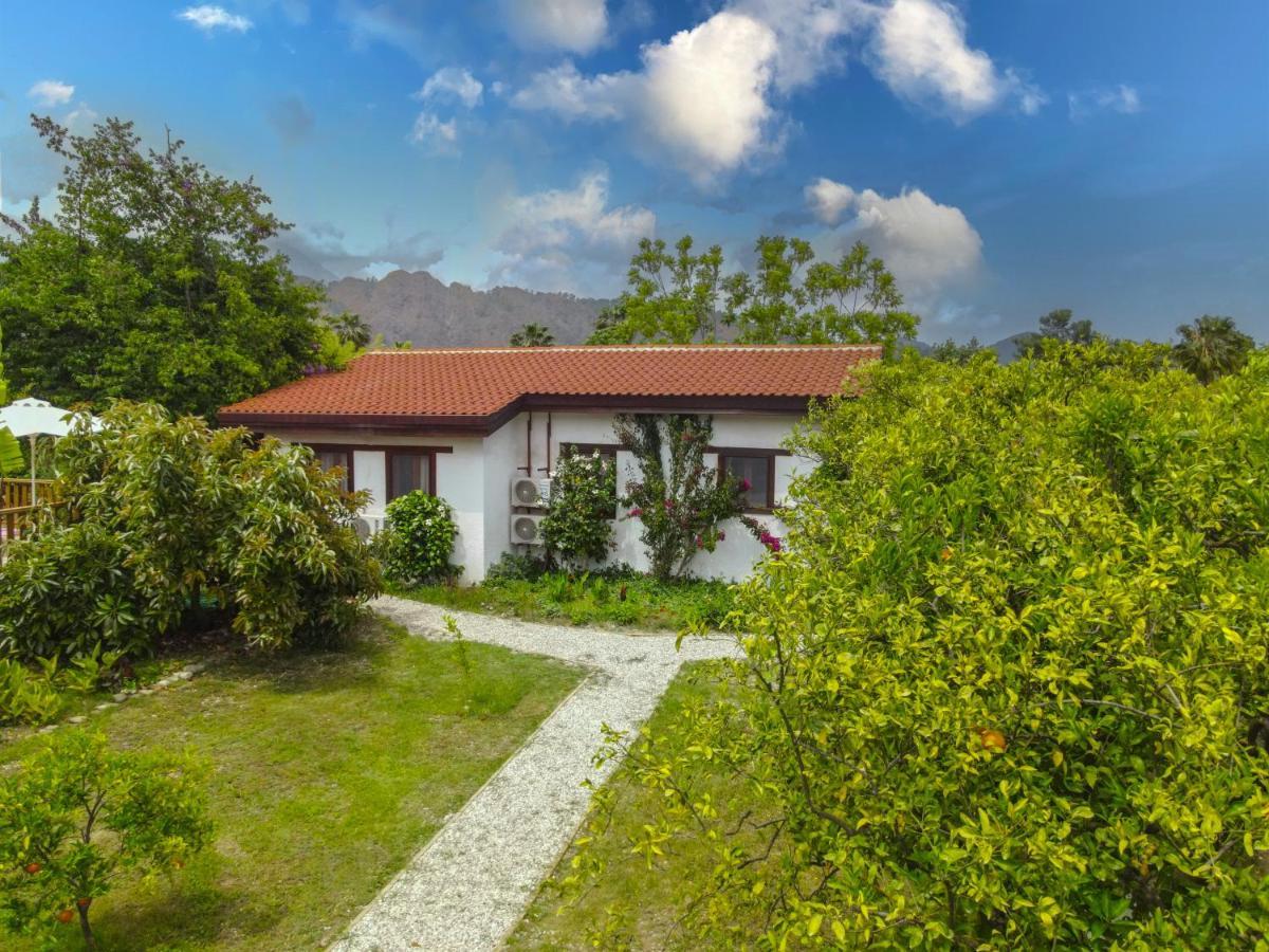 Kimera - Akdeniz Bahcesi *