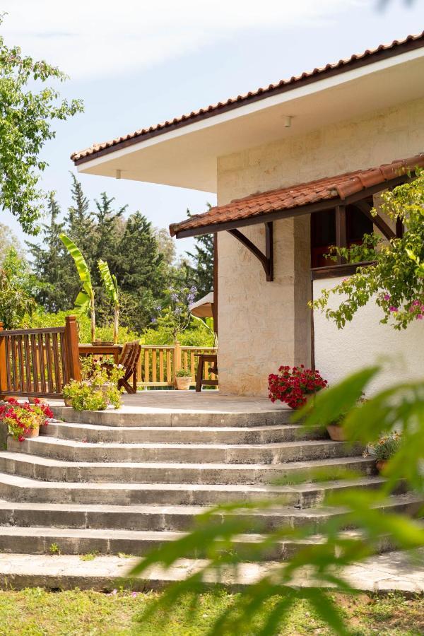 Kimera - Akdeniz Bahcesi