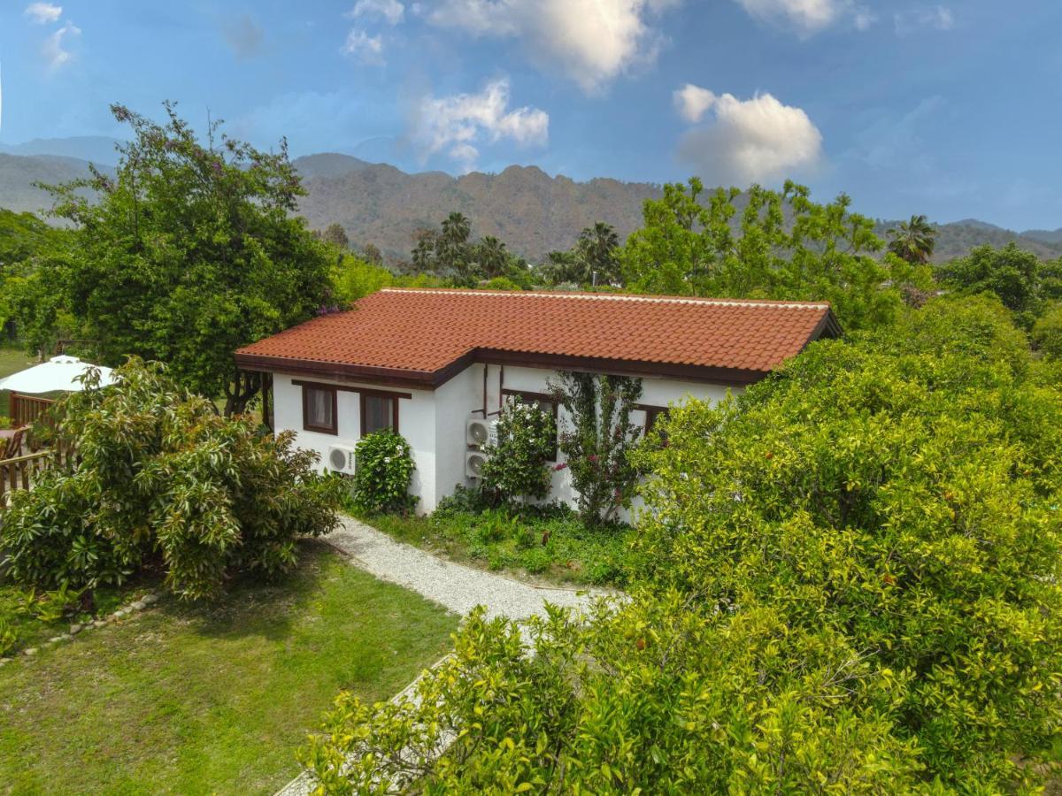 Kimera - Akdeniz Bahcesi Holiday home