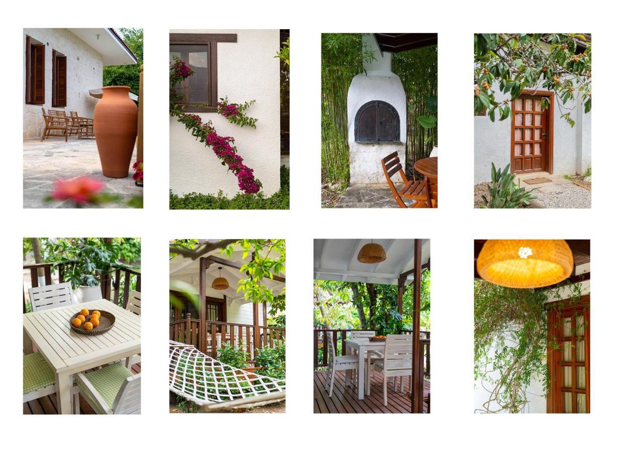 Holiday home Kimera - Akdeniz Bahcesi *