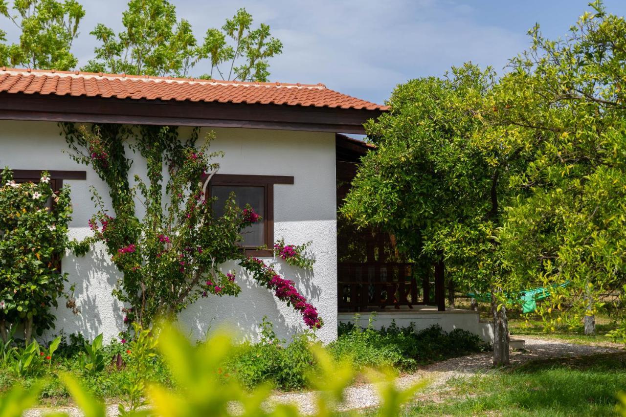 Holiday home Kimera - Akdeniz Bahcesi