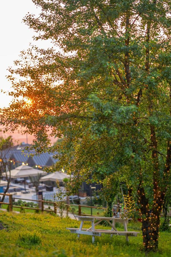 Alya Kartepe Hotel