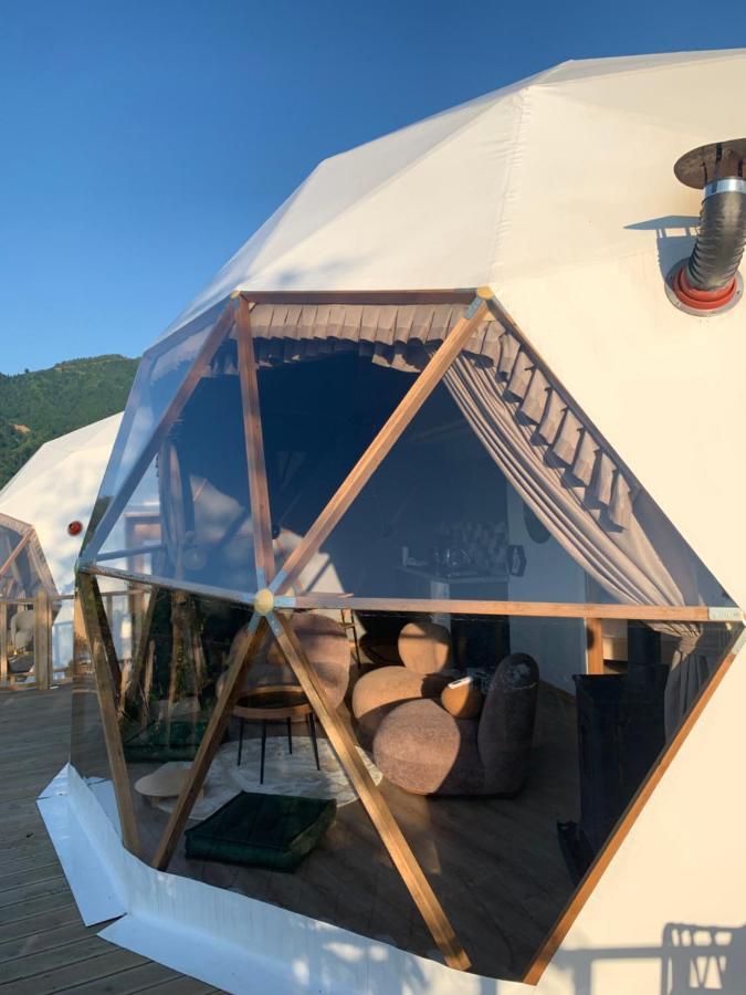 Bogina Dome & - *