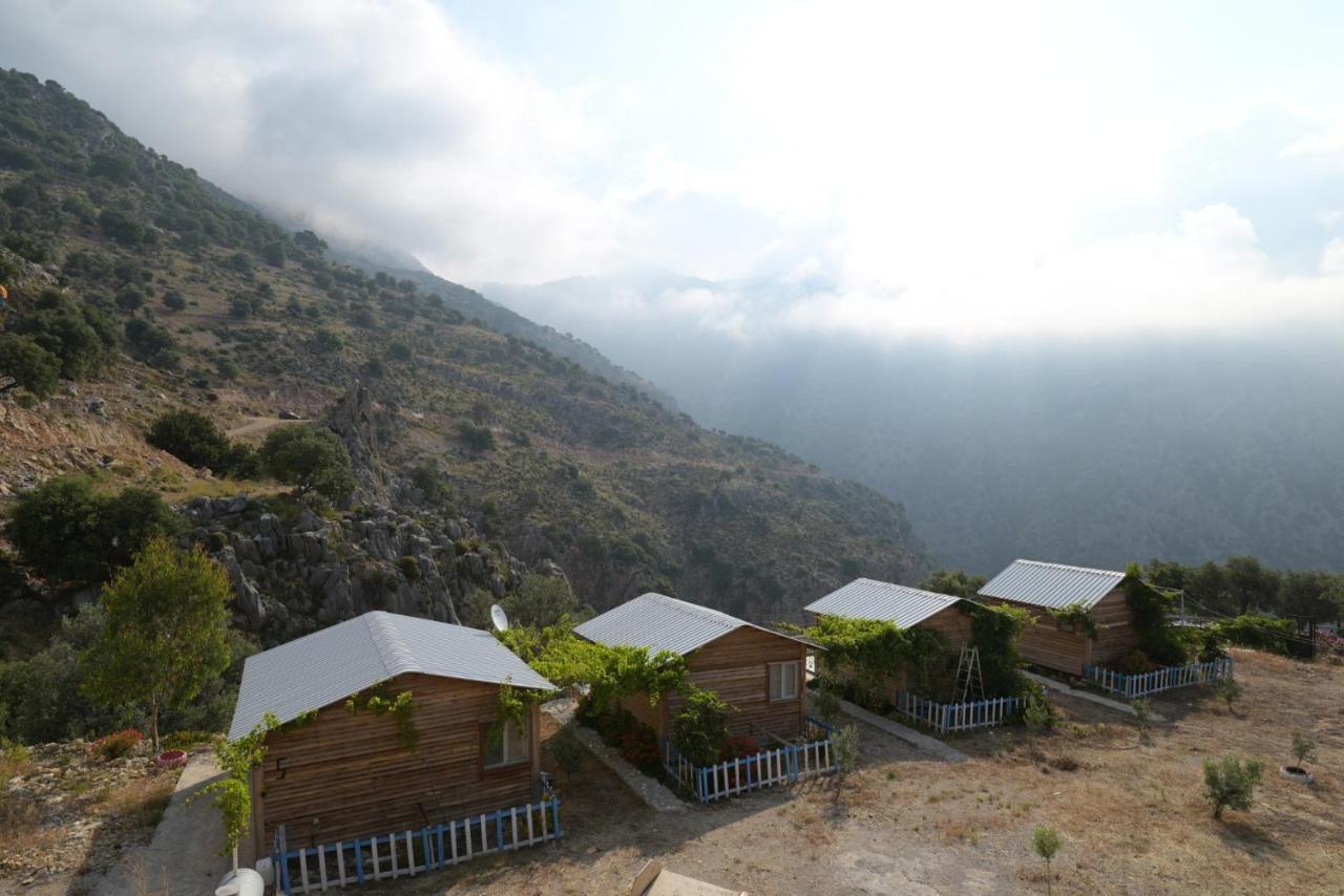 Pavlonya Country house *