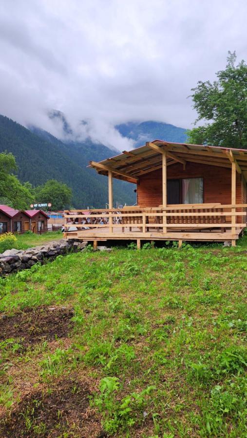 Ensar Uzungol