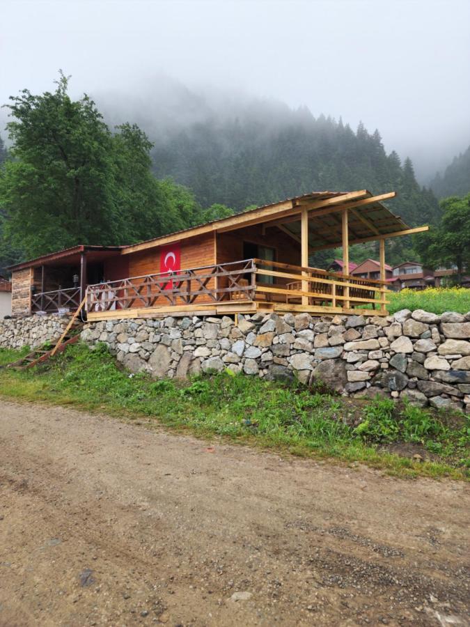 Ensar Uzungol