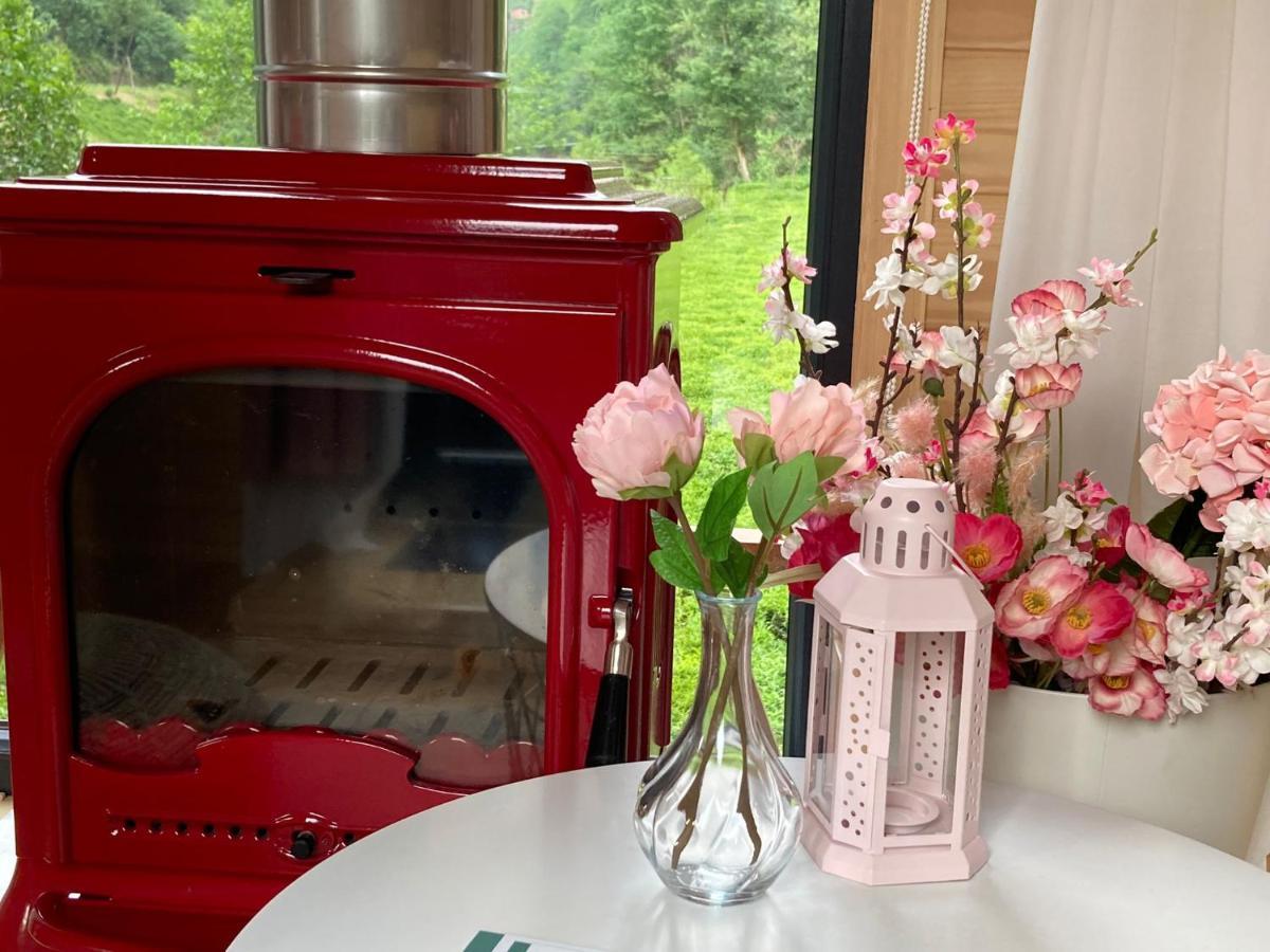 Vagona Tiny House Resort Rize