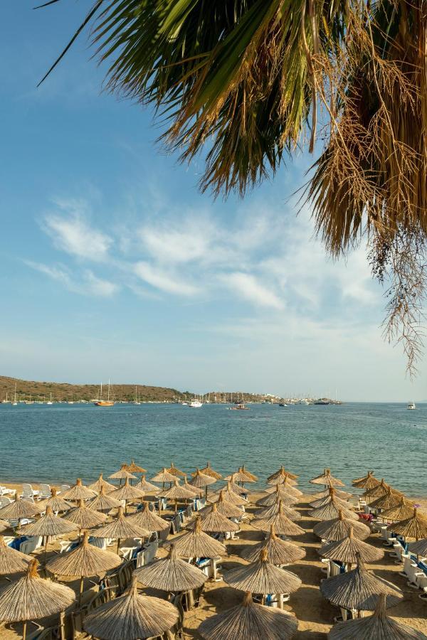 Hotel Anil 3*