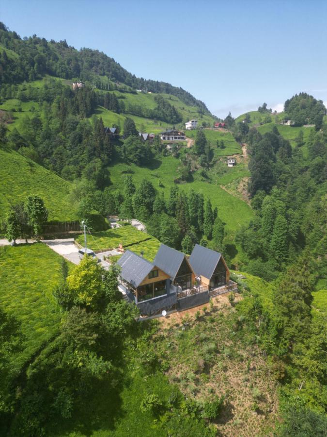 Chalet Elva