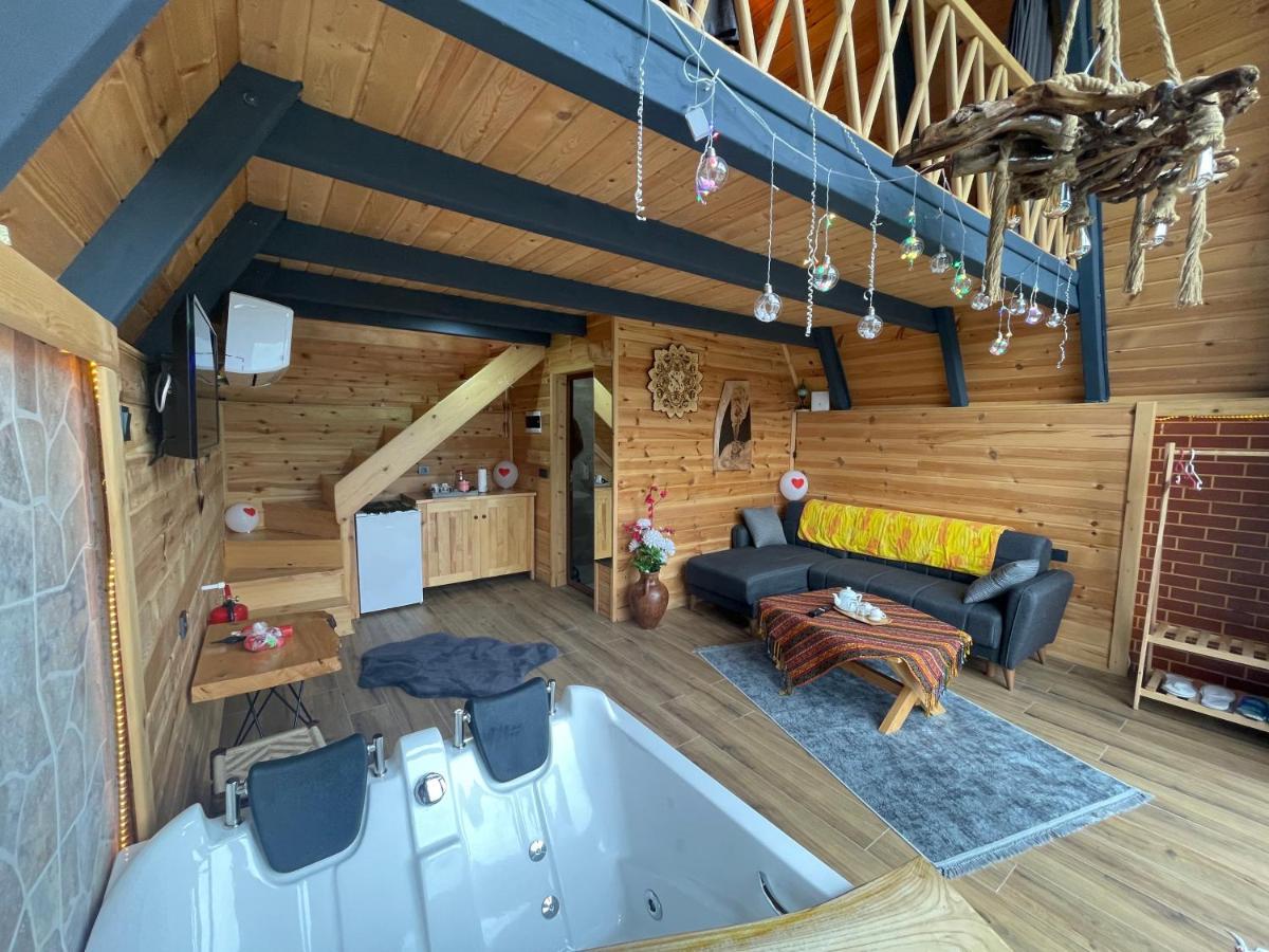 Chalet Elva Camlihemsin