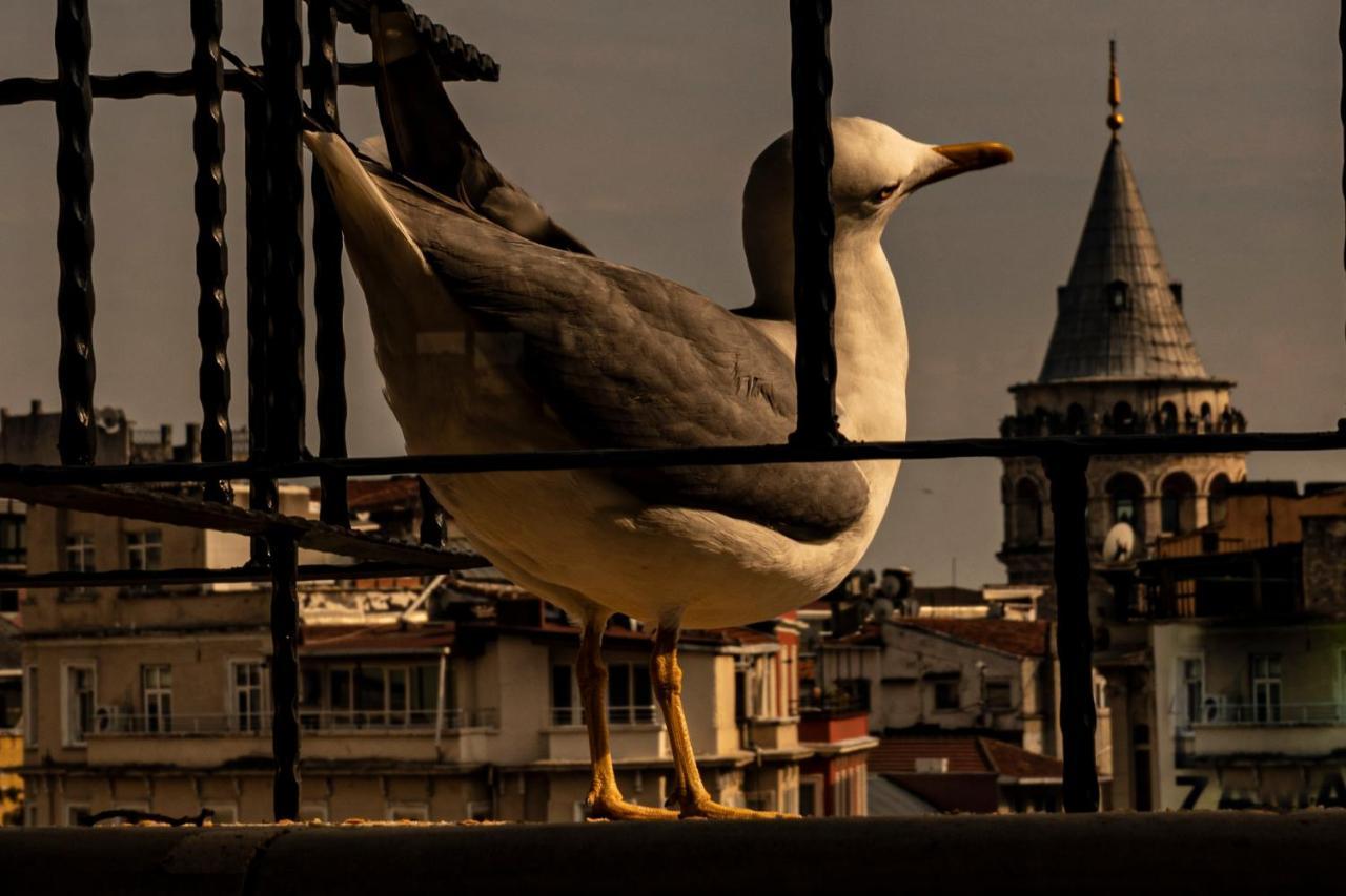 Galata M84 Aparthotel